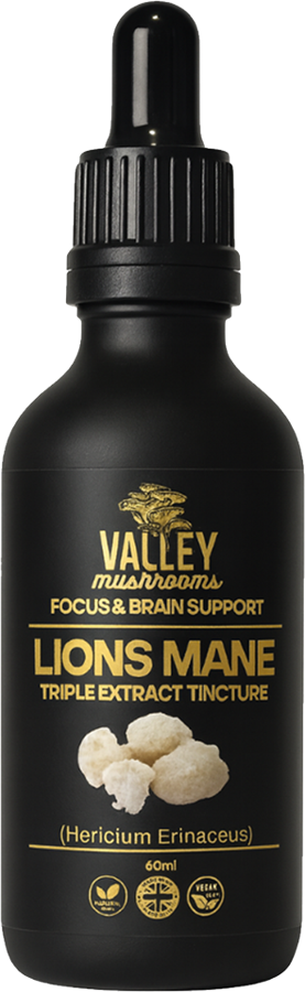 Lion's Mane triple extract tincture bottle