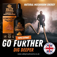 Cordyceps Triple Extract Tincture - 60ml