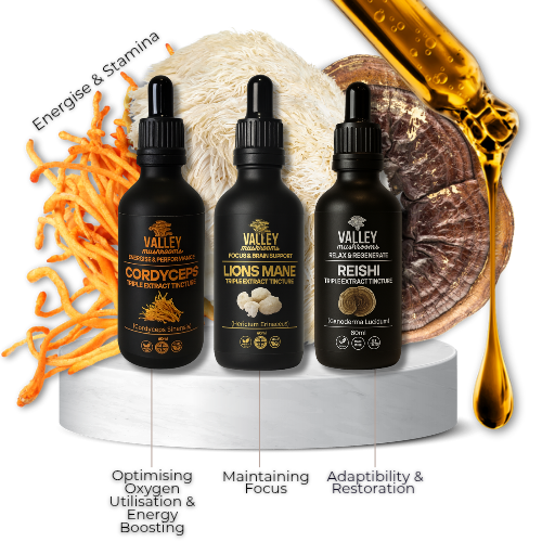 Peak Performance Stack