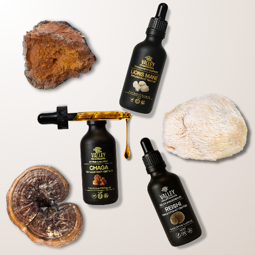 Ultimate Brain Stack