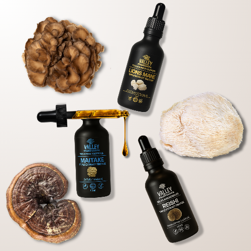 Womens Wellness Stack