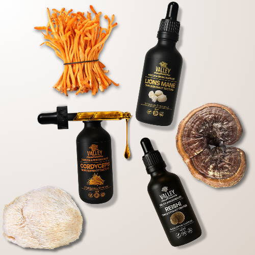 Peak Performance Stack