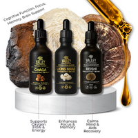 Ultimate Brain Stack