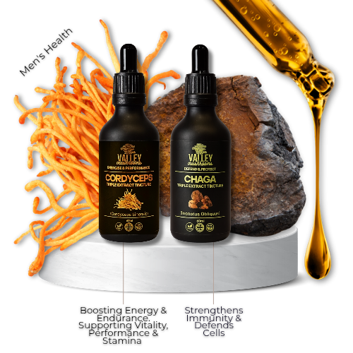 Power & Protection Stack