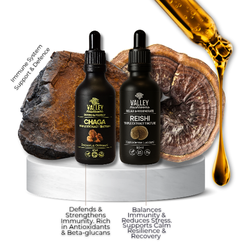 Immunity Shield Stack