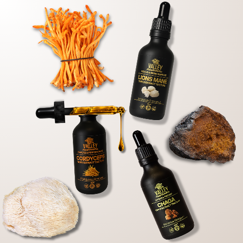 Lion's Mane, Cordyceps and Chaga tinctures laid flat beside whole mushrooms