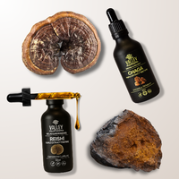 Immunity Shield Stack