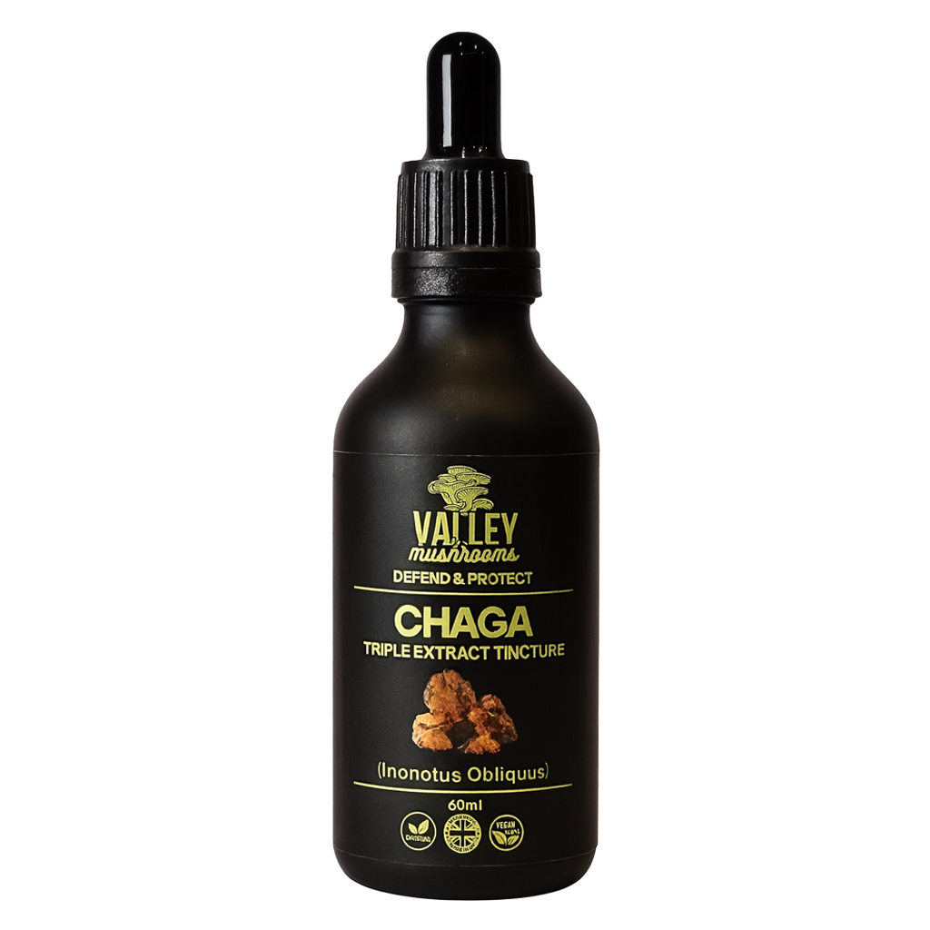 Chaga Triple Extract Tincture – 60ml