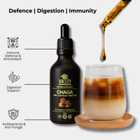Chaga Triple Extract Tincture – 60ml
