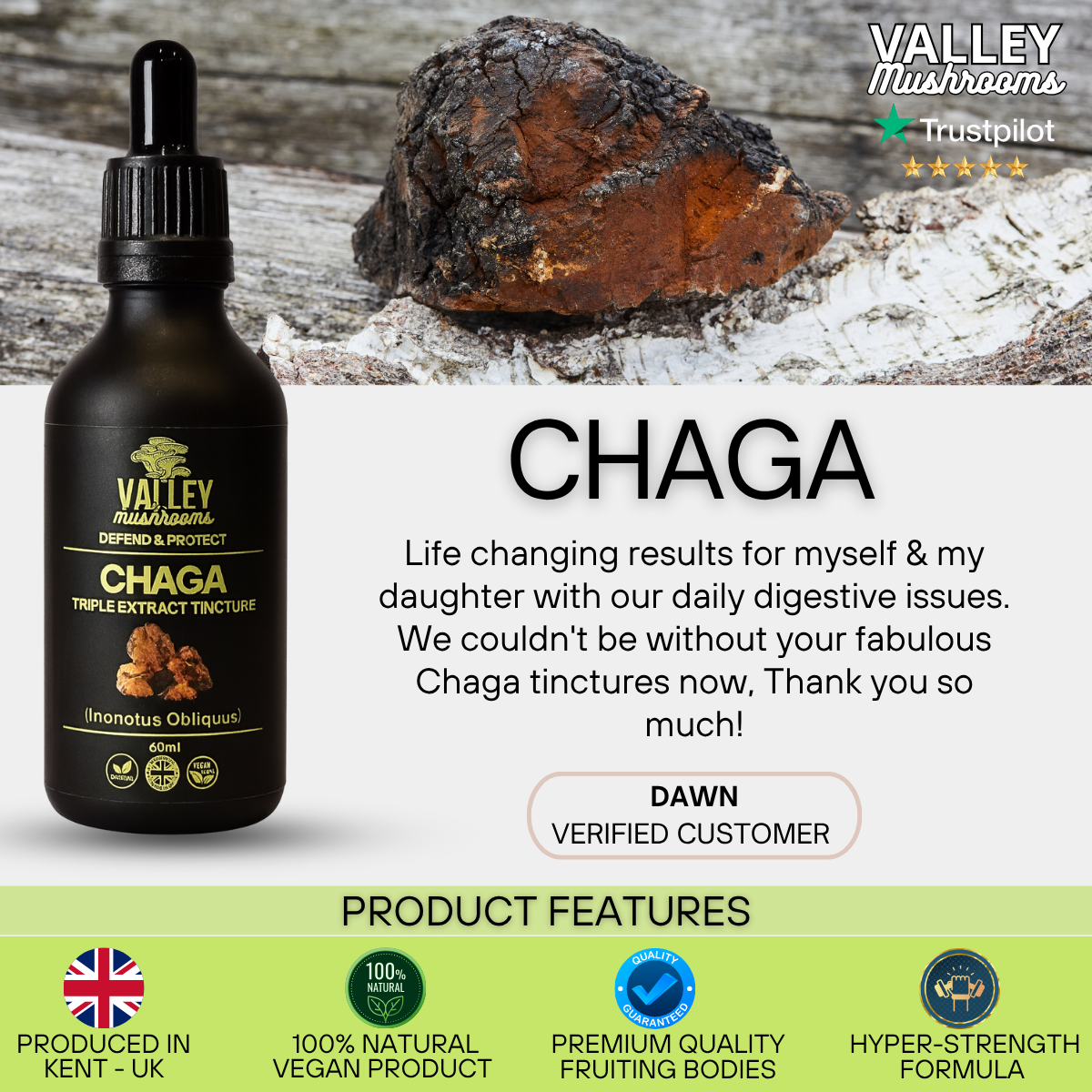 Chaga Triple Extract Tincture – 60ml