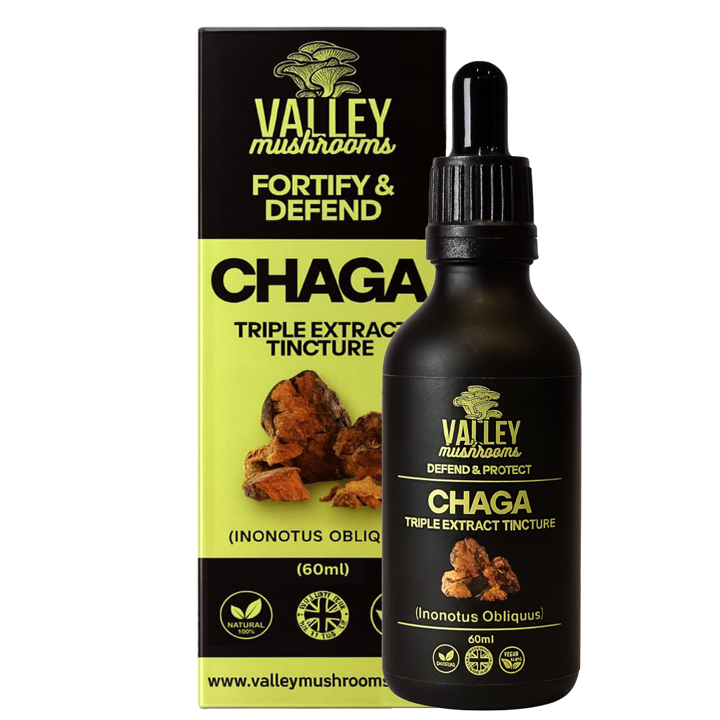 Chaga Triple Extract Tincture – 60ml