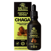 Chaga Triple Extract Tincture – 60ml
