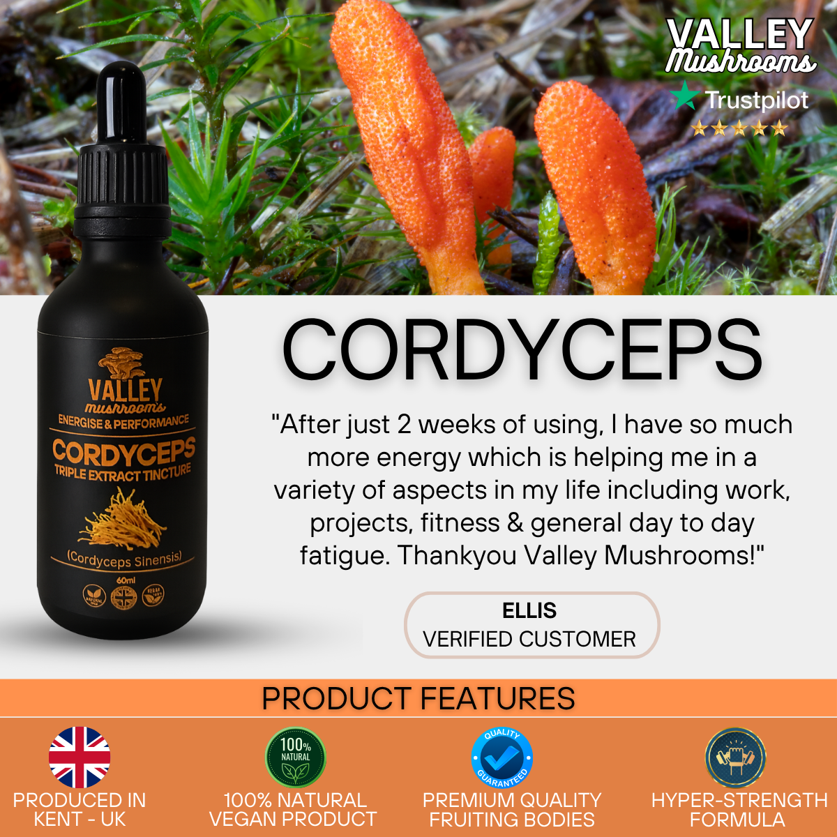 Cordyceps Triple Extract Tincture - 60ml
