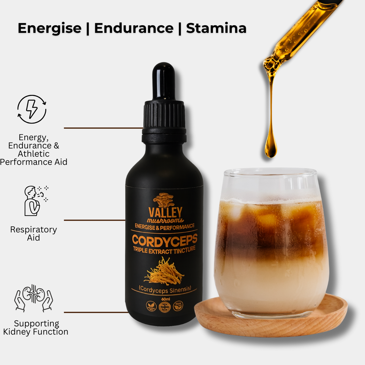 Cordyceps Triple Extract Tincture - 60ml