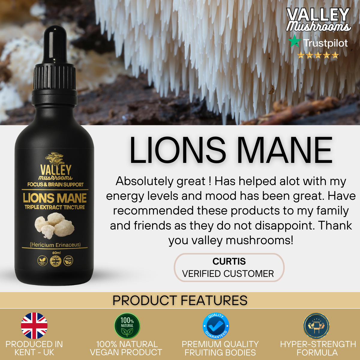 Lions Mane Triple Extract Tincture - 60ml