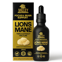 Lions Mane Triple Extract Tincture - 60ml