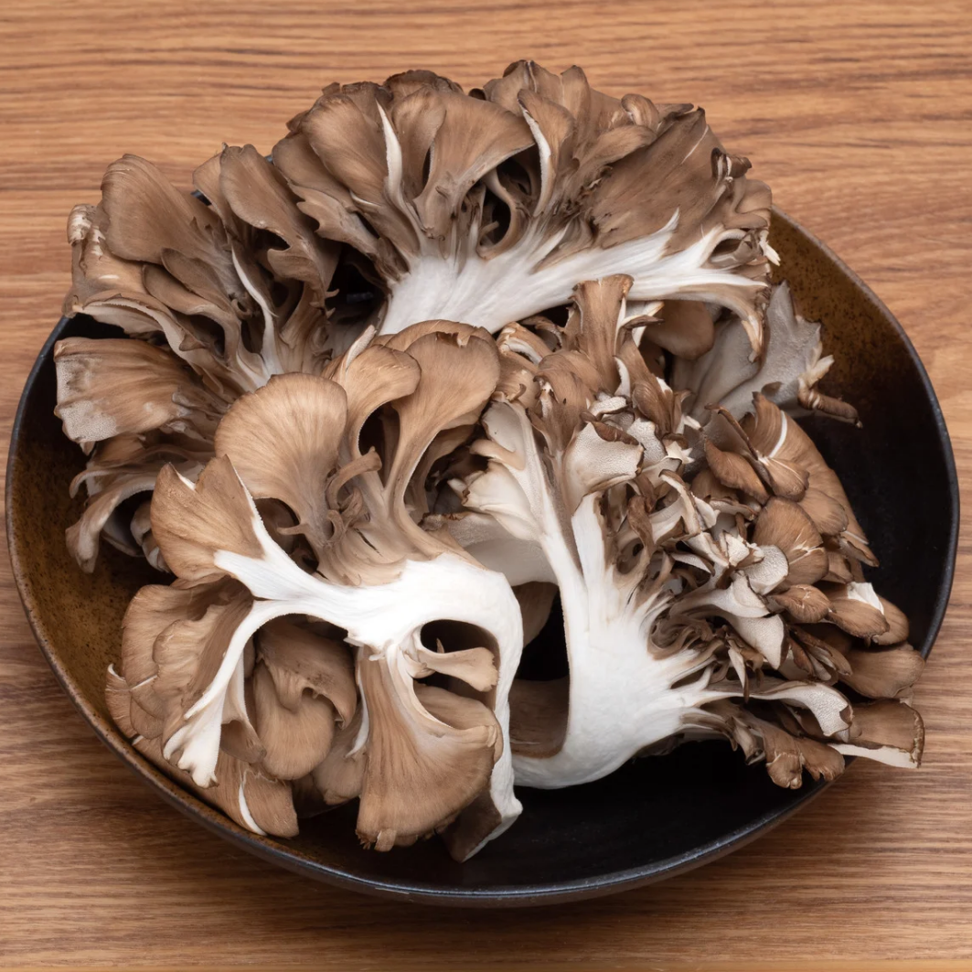 Maitake Triple Extract Tincture – 60ml