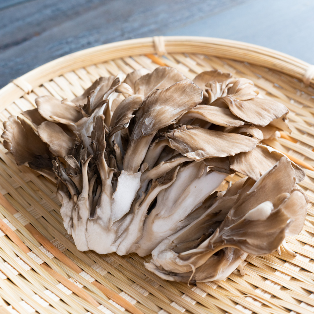 Maitake Triple Extract Tincture – 60ml