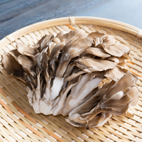 Maitake Triple Extract Tincture – 60ml