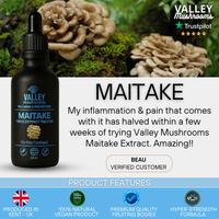 Maitake Triple Extract Tincture – 60ml