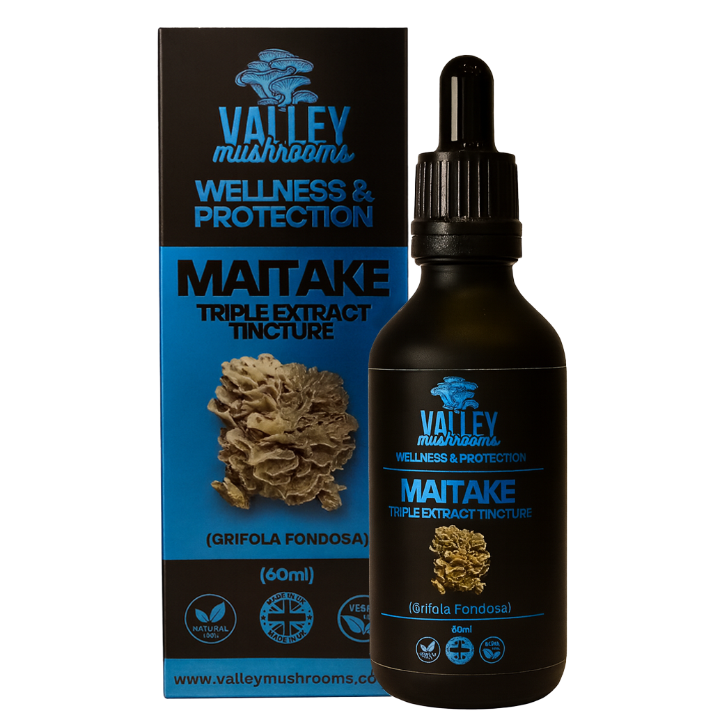 Maitake Triple Extract Tincture – 60ml