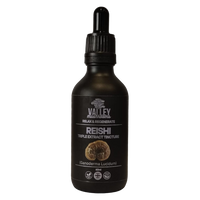 Reishi Triple Extract Tincture – 60ml