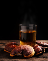 Reishi Triple Extract Tincture – 60ml