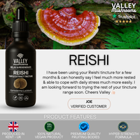Reishi Triple Extract Tincture – 60ml