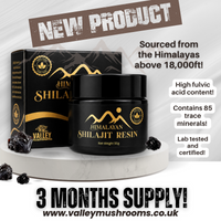 100% Natural Pure & Potent Shilajit Resin