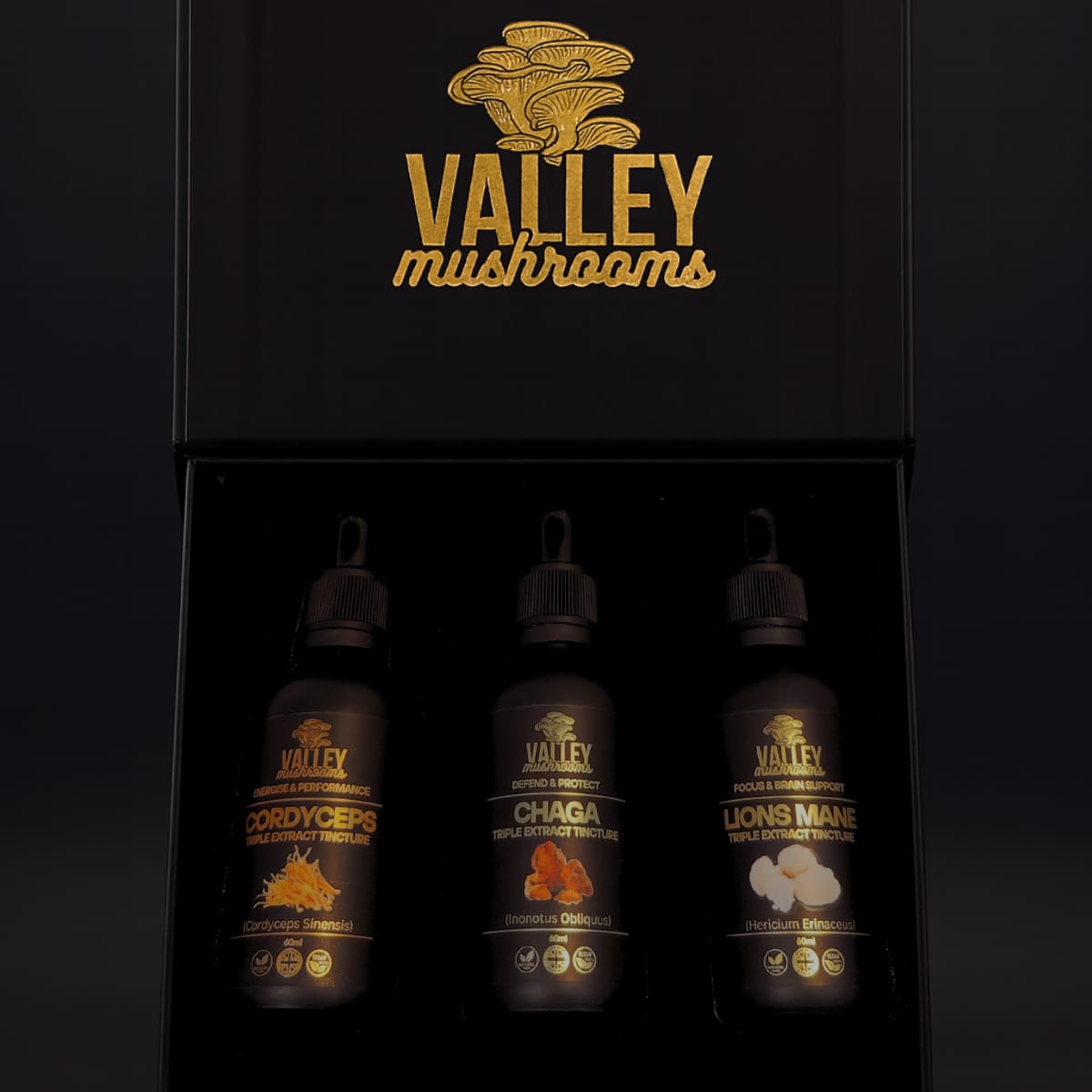 Cordyceps, Chaga and Lion's Mane tinctures in a black Valley Mushrooms gift box