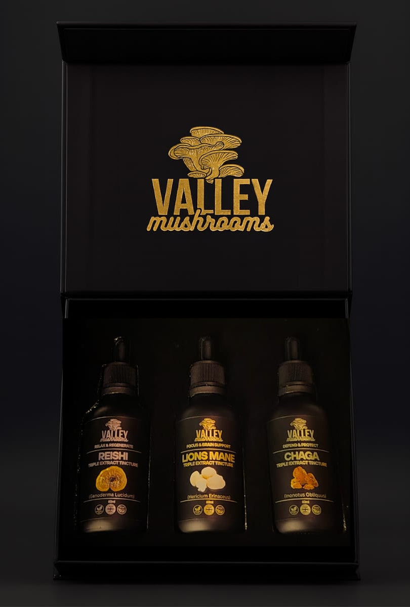 Ultimate Brain Stack