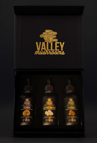 Ultimate Brain Stack