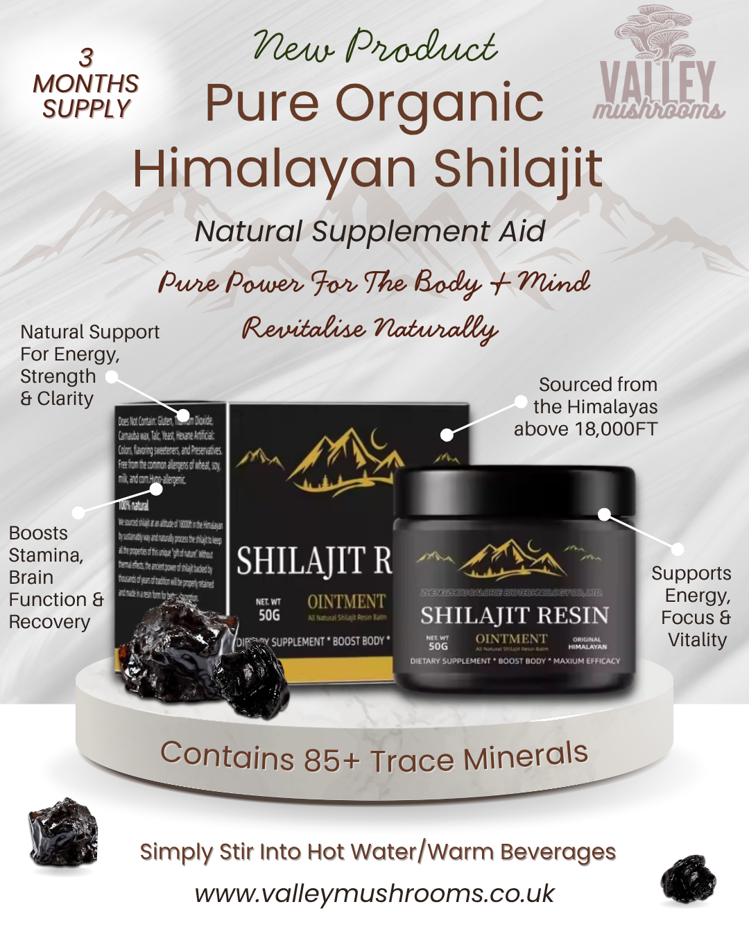 Natural Shilajit Resin Paste