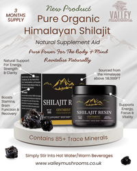 Natural Shilajit Resin Paste