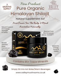 100% Natural Pure & Potent Shilajit Resin