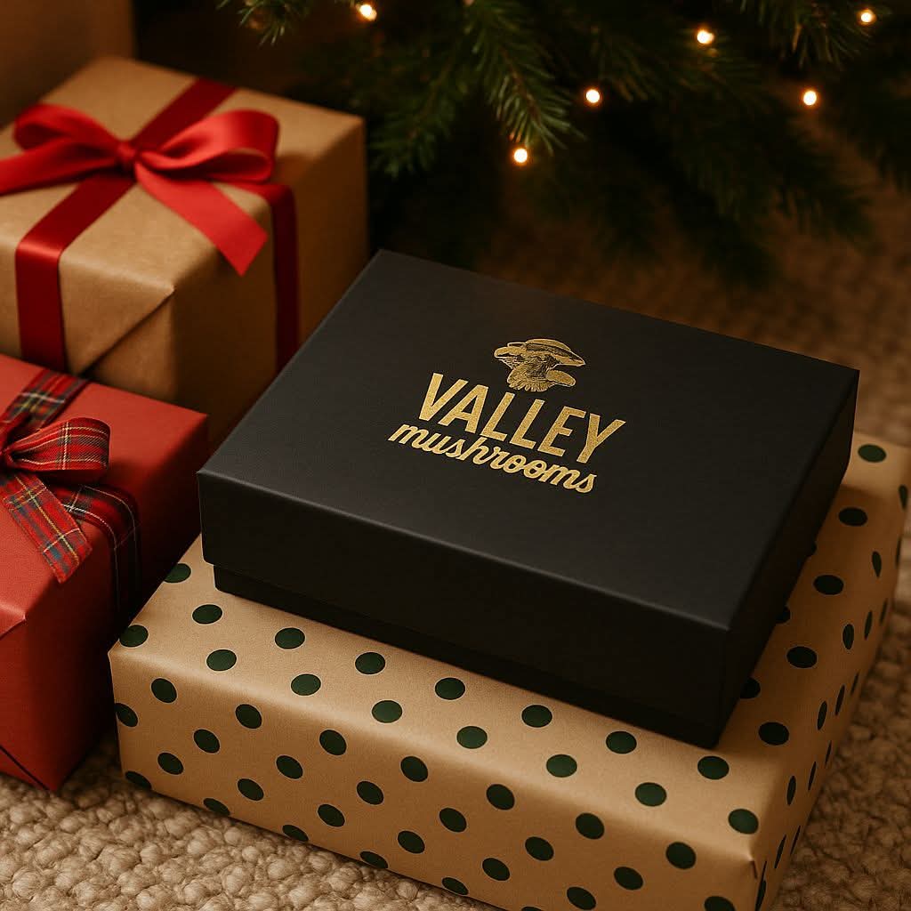 Black Valley Mushrooms gift box with gold logo among wrapped Christmas presents