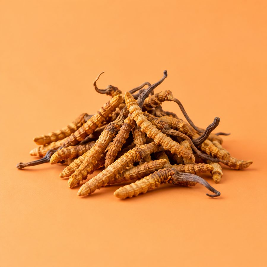 Cordyceps (Cordyceps sinensis (Cs-4))