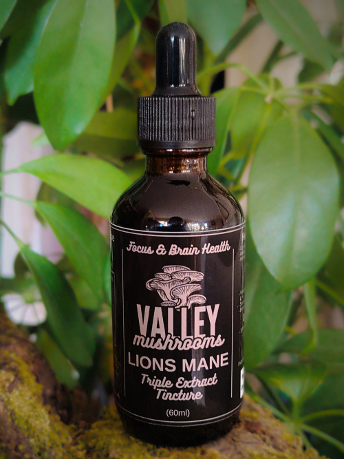 lions mane triple extract tincture